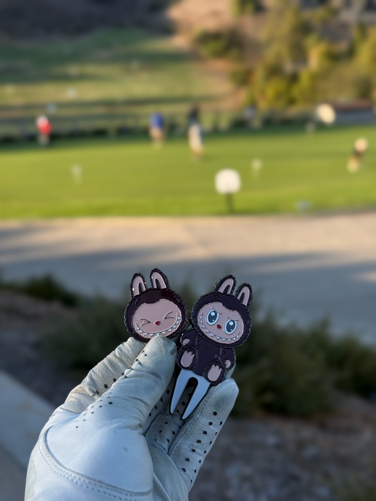 Bubu Divot Tool